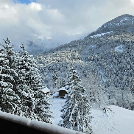 Appartement Melinda Ebnit Dornbirn Exteriér fotografie