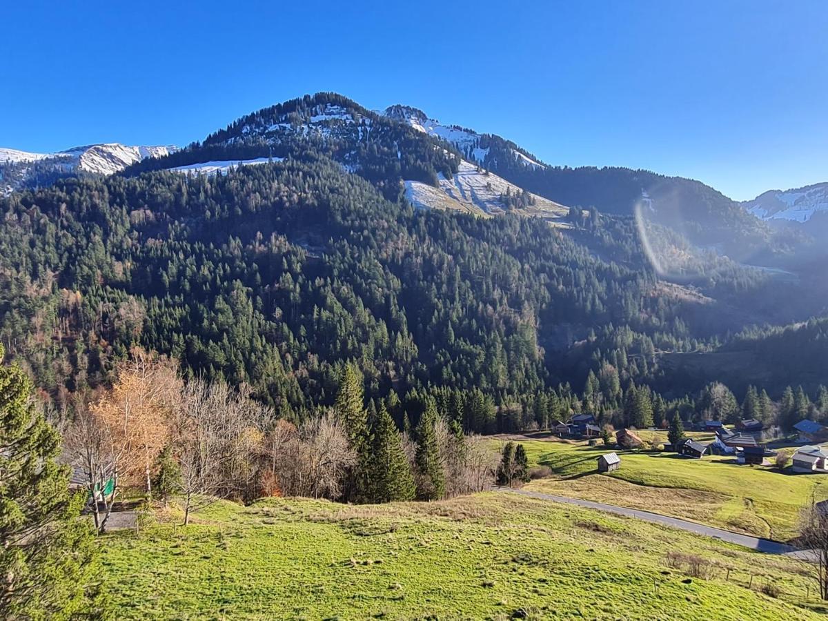Appartement Melinda Ebnit Dornbirn Exteriér fotografie