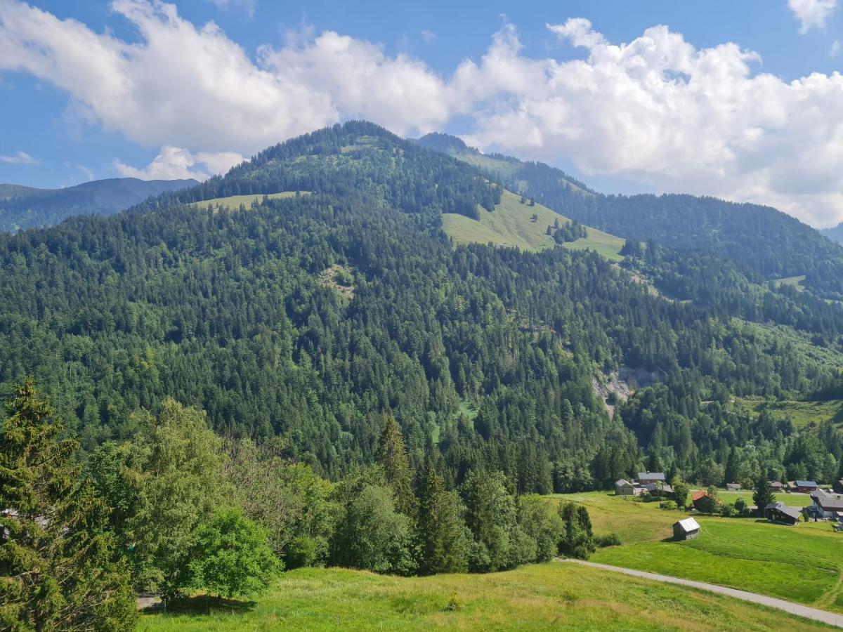 Appartement Melinda Ebnit Dornbirn Exteriér fotografie
