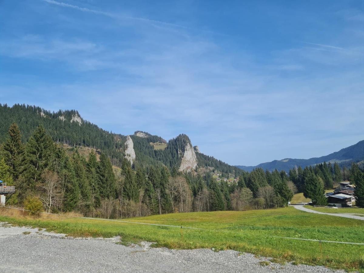 Appartement Melinda Ebnit Dornbirn Exteriér fotografie